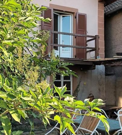 Au jardin de la Maison des Soeurs Mutzig Extérieur photo