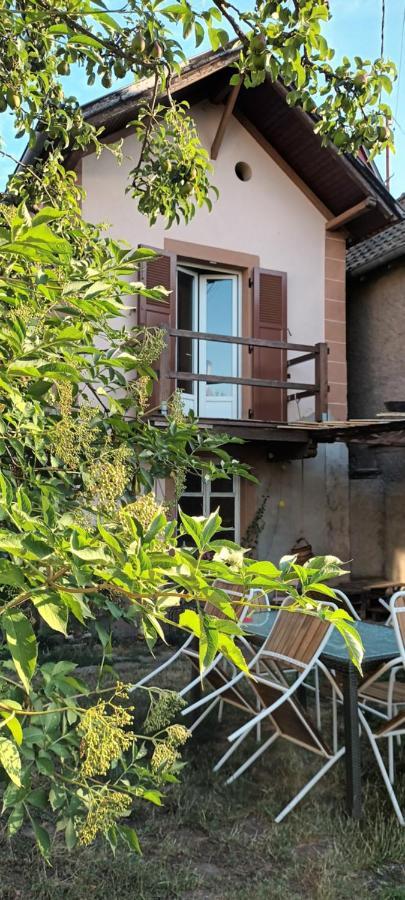 Au jardin de la Maison des Soeurs Mutzig Extérieur photo
