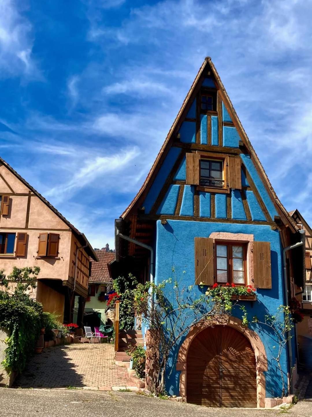 Au jardin de la Maison des Soeurs Mutzig Extérieur photo