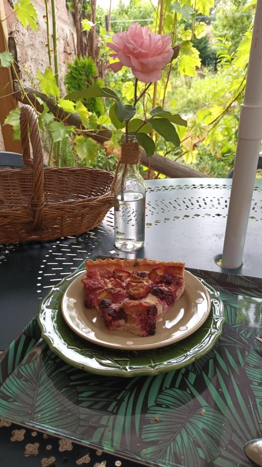 Au jardin de la Maison des Soeurs Mutzig Extérieur photo