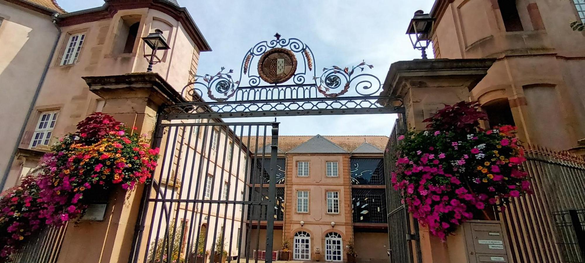 Au jardin de la Maison des Soeurs Mutzig Extérieur photo